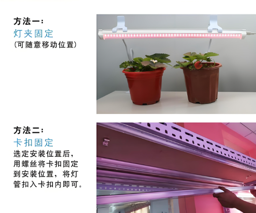 æ¤ç‰©ç¯ç®¡ä½¿ç”¨æ–ÒŽ(gu¨©)³•.png